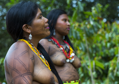 Panama, Darien Province, Bajo Chiquito, Women Of The Native Indian Embera Tribe