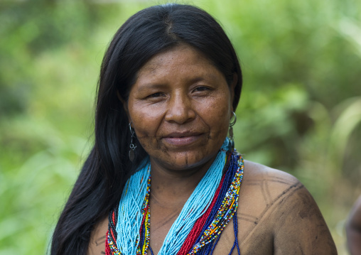 Panama, Darien Province, Bajo Chiquito, Woman Of The Native Indian Embera Tribe