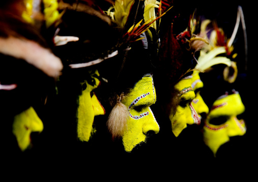 Hulis wigmen in traditional clothing during a sing-sing ceremony, Western Highlands Province, Mount Hagen, Papua New Guinea