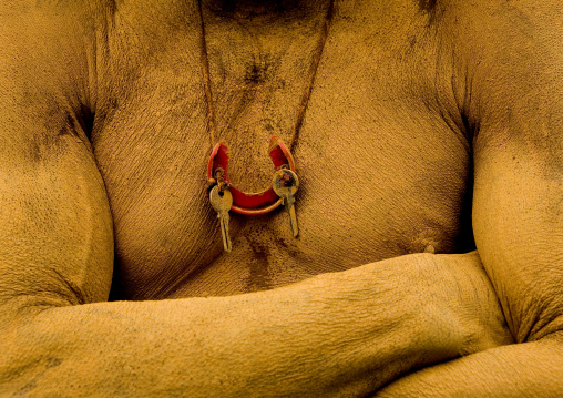 Chimbu tribe man with the body covered in yellow mud, Western Highlands Province, Mount Hagen, Papua New Guinea