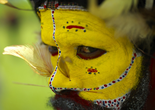 Portrait of a Huli tribe wigmen in traditional clothing during a sing-sing, Western Highlands Province, Mount Hagen, Papua New Guinea