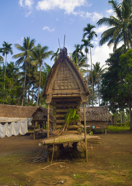 House in a village to store the yam roots, Milne Bay Province, Trobriand Island, Papua New Guinea