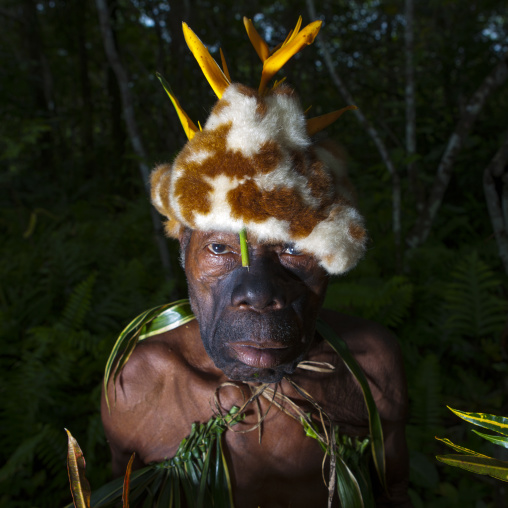 Portrait of a traditional witch doctor in the jungle, New Ireland Province, Kavieng, Papua New Guinea