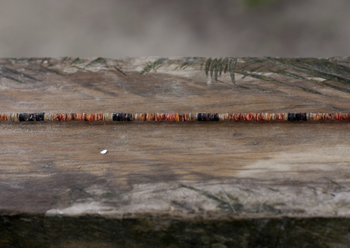 Traditionnal shell necklaces, New Ireland Province, Kavieng, Papua New Guinea