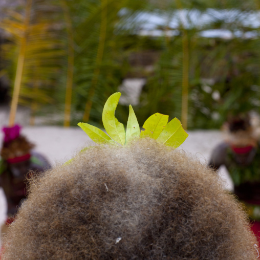 Paplieng tribe woman hair, New Ireland Province, Kavieng, Papua New Guinea