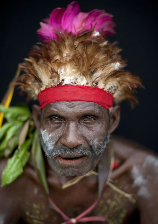 Portrait of a man from Paplieng tribe in traditional clothing, New Ireland Province, Kavieng, Papua New Guinea