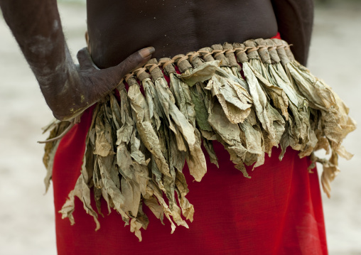 Man from Paplieng tribe in traditional vegetal clothing, New Ireland Province, Kavieng, Papua New Guinea