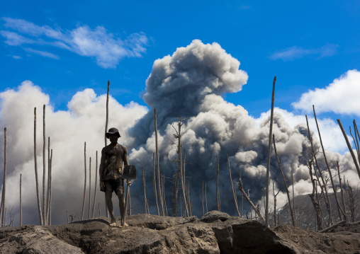 Man digging to find megapode birds eggs in Tavurvur volcano ashes, East New Britain Province, Rabaul, Papua New Guinea