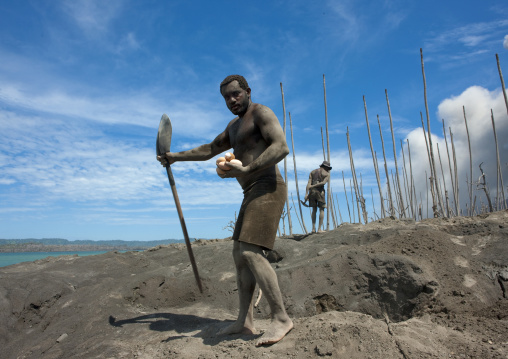 Man digging to find megapode birds eggs in Tavurvur volcano ashes, East New Britain Province, Rabaul, Papua New Guinea