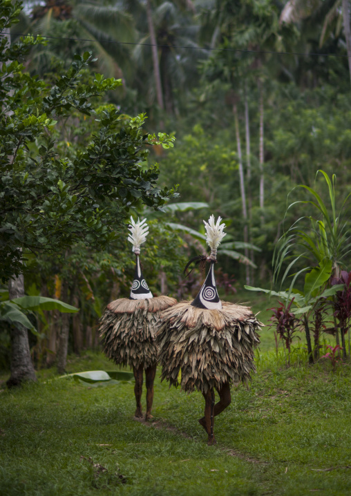 Duk duk giant masks during a Tubuan dance, East New Britain Province, Rabaul, Papua New Guinea