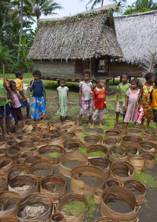 Dried pandanus leaves used to make baskets, Milne Bay Province, Trobriand Island, Papua New Guinea