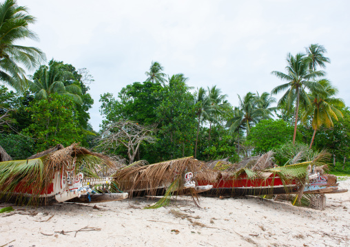 Traditional canoe with carved and painted decorations, Milne Bay Province, Trobriand Island, Papua New Guinea