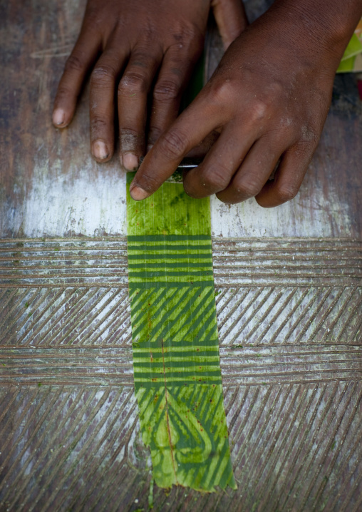 Girl making Doba traditional money with banana leaves on a wooden board, Milne Bay Province, Trobriand Island, Papua New Guinea