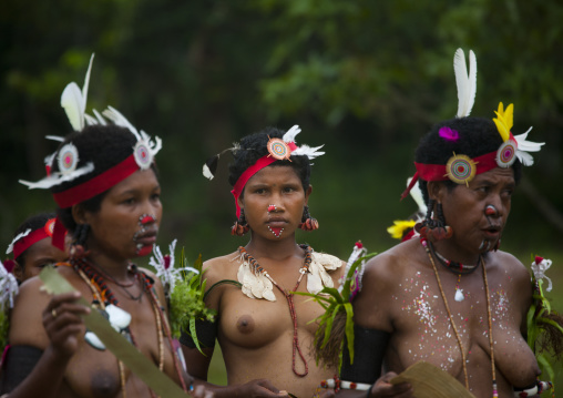 Portrait of topless tribal women in traditional clothing, Milne Bay Province, Trobriand Island, Papua New Guinea