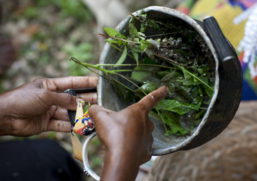 Mixture made with plants for the body during a ceremony, Milne Bay Province, Trobriand Island, Papua New Guinea