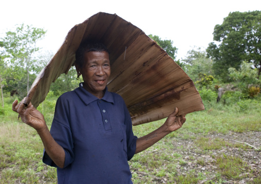 Old woman with a vegetal umbrealla, Milne Bay Province, Trobriand Island, Papua New Guinea