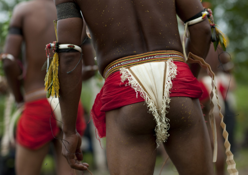 Tribal dancers in traditional clothing during a sing-sing, Milne Bay Province, Trobriand Island, Papua New Guinea