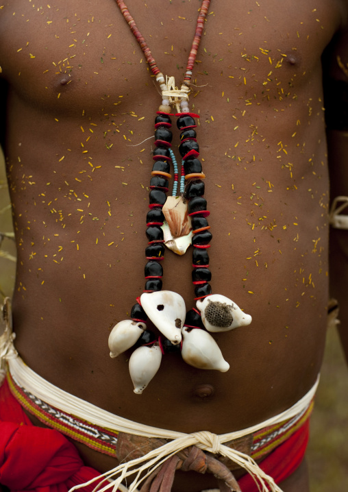 Detail of a tribal dancer with shells necklaces during a ceremony, Milne Bay Province, Trobriand Island, Papua New Guinea