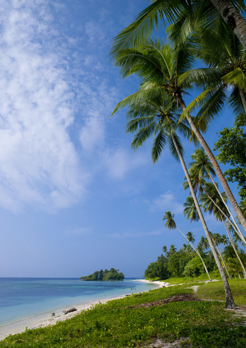 Palm trees on the beautiful deserted kaibola beach, Milne Bay Province, Trobriand Island, Papua New Guinea