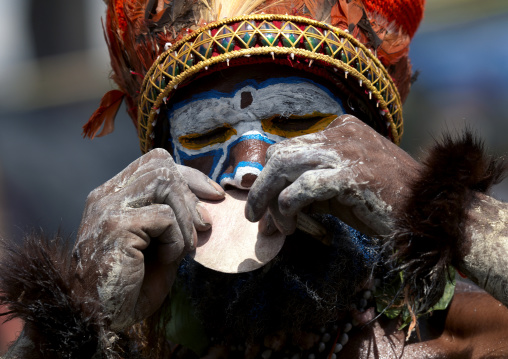 Highlander warrior putting a nose ring decoration during a sing sing, Western Highlands Province, Mount Hagen, Papua New Guinea