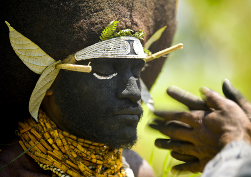 Enga kompian suli muli wearing a wig made with human hair, Western Highlands Province, Mount Hagen, Papua New Guinea