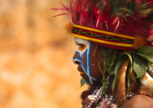 Highlander woman with traditional clothing during a sing-sing, Western Highlands Province, Mount Hagen, Papua New Guinea