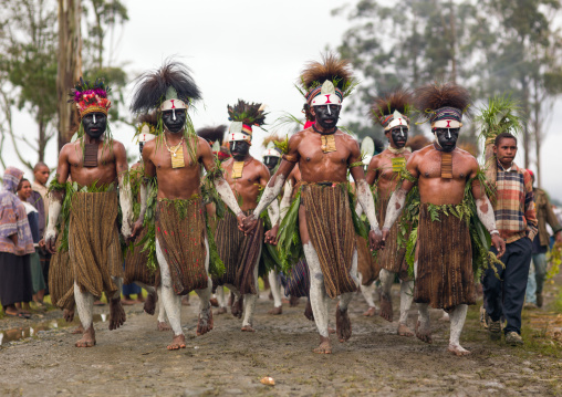 Highlander warriors with traditional clothing during a sing-sing, Western Highlands Province, Mount Hagen, Papua New Guinea