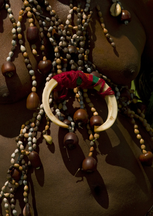 Amulets on a warrior chest with pig tusks during a Sing-sing ceremony, Western Highlands Province, Mount Hagen, Papua New Guinea