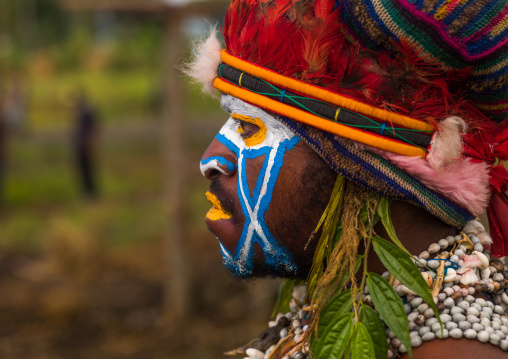 Highlander warrior with traditional makeup during a sing-sing, Western Highlands Province, Mount Hagen, Papua New Guinea