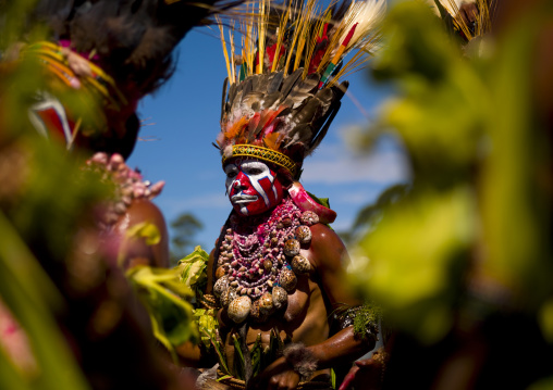 Highlander woman with traditional clothing during a sing-sing, Western Highlands Province, Mount Hagen, Papua New Guinea