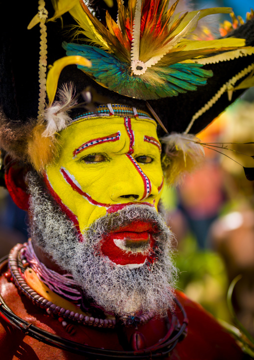 Portrait of a Huli tribe wigmen in traditional clothing during a sing-sing, Western Highlands Province, Mount Hagen, Papua New Guinea