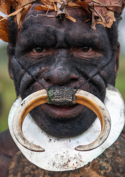 Whagi man tribe with black face during a sing-sing, Western Highlands Province, Mount Hagen, Papua New Guinea