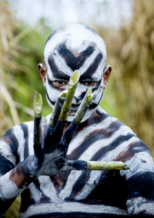 Snake man during a sing sing ceremony, Western Highlands Province, Mount Hagen, Papua New Guinea