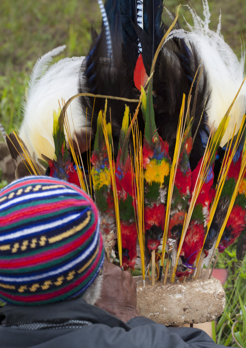 Man making a headdress with feathers during a sing sing, Western Highlands Province, Mount Hagen, Papua New Guinea