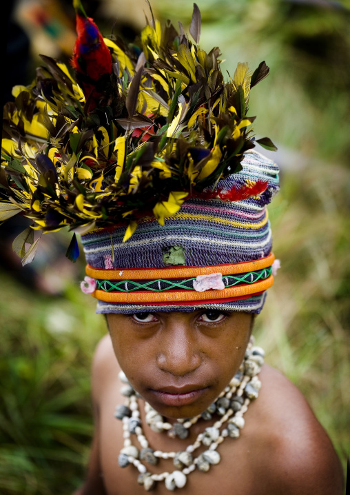 Highlander boy with traditional makeup during a sing-sing, Western Highlands Province, Mount Hagen, Papua New Guinea