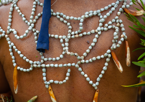 Highlander woman back during a sing sing, Western Highlands Province, Mount Hagen, Papua New Guinea