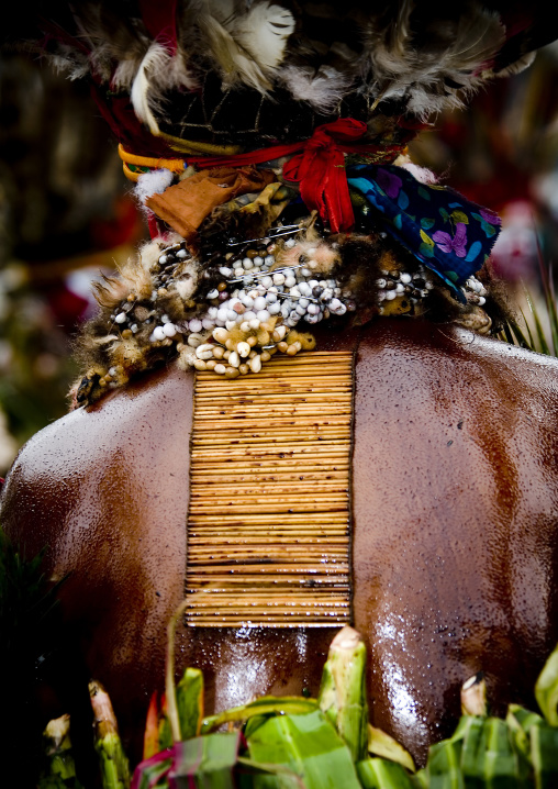 Melpa tribe man back decoration during a sing-sing, Western Highlands Province, Mount Hagen, Papua New Guinea