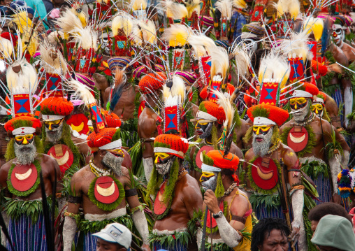 Highlander warriors with traditional clothing during a sing-sing, Western Highlands Province, Mount Hagen, Papua New Guinea