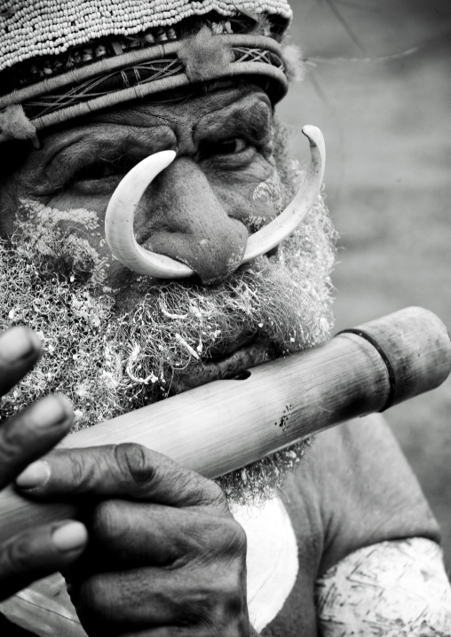 Man playing flute during a sing-sing, Western Highlands Province, Mount Hagen, Papua New Guinea