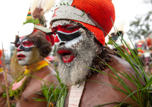 Highlander warriors during a sing-sing ceremony, Western Highlands Province, Mount Hagen, Papua New Guinea