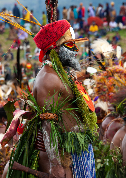 Highlander warrior with traditional makeup during a sing-sing, Western Highlands Province, Mount Hagen, Papua New Guinea