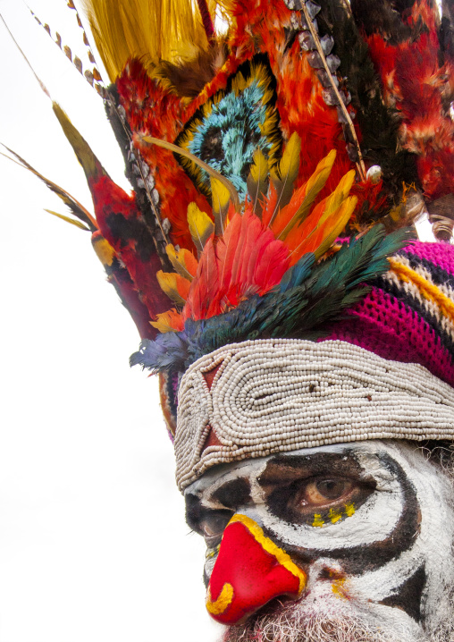 Highlander warrior with traditional makeup during a sing-sing, Western Highlands Province, Mount Hagen, Papua New Guinea