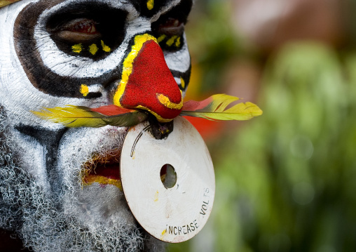 Highlander warrior with a nose ring decoration during a sing sing ceremony, Western Highlands Province, Mount Hagen, Papua New Guinea