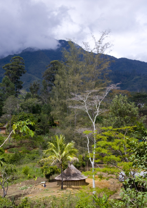 Traditional house in the highands, Eastern Highlands Province, Goroka, Papua New Guinea