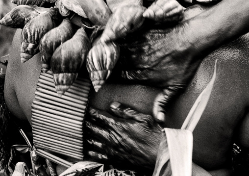 Woman putting oil on the body of a warrior before a sing-sing, Western Highlands Province, Mount Hagen, Papua New Guinea