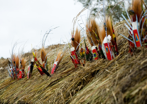 Headdresses on the roof of a highlander long house during a sing sing ceremony, Western Highlands Province, Mount Hagen, Papua New Guinea