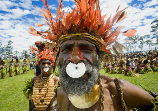 Highlander warrior with a nose ring decoration during a sing sing ceremony, Western Highlands Province, Mount Hagen, Papua New Guinea