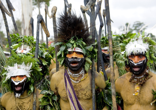 Highlander warriors with traditional clothing during a sing-sing, Western Highlands Province, Mount Hagen, Papua New Guinea