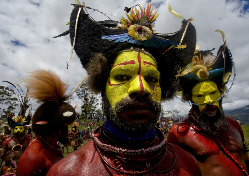 Hulis wigmen in traditional clothing during a sing-sing, Western Highlands Province, Mount Hagen, Papua New Guinea