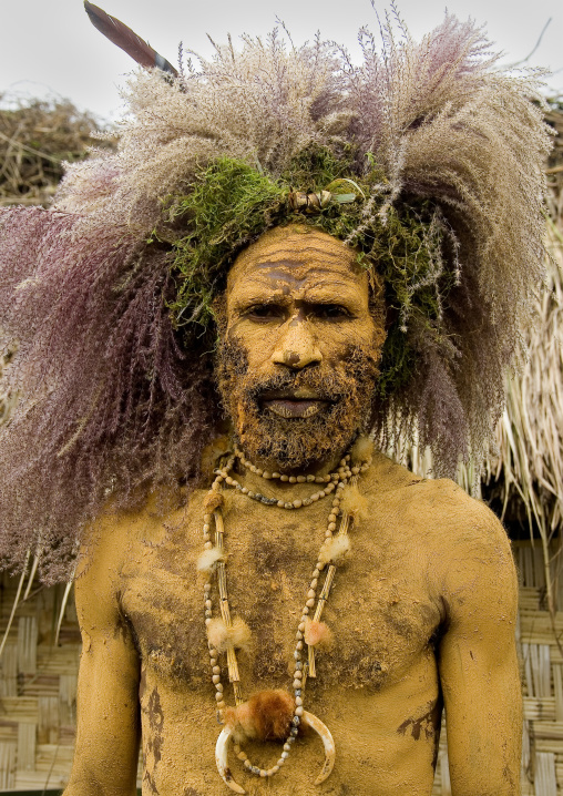 Chimbu tribe man with the body covered in yellow mud wearing a vegetal wig, Western Highlands Province, Mount Hagen, Papua New Guinea